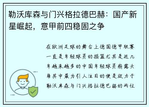 勒沃库森与门兴格拉德巴赫：国产新星崛起，意甲前四稳固之争